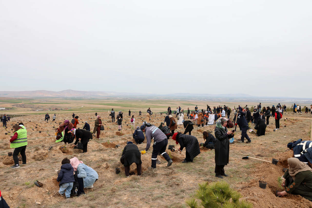 Konya’da karbon yutak alanı oluşturuldu 3